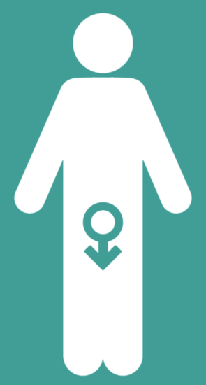 Male impotence and an increase in a member