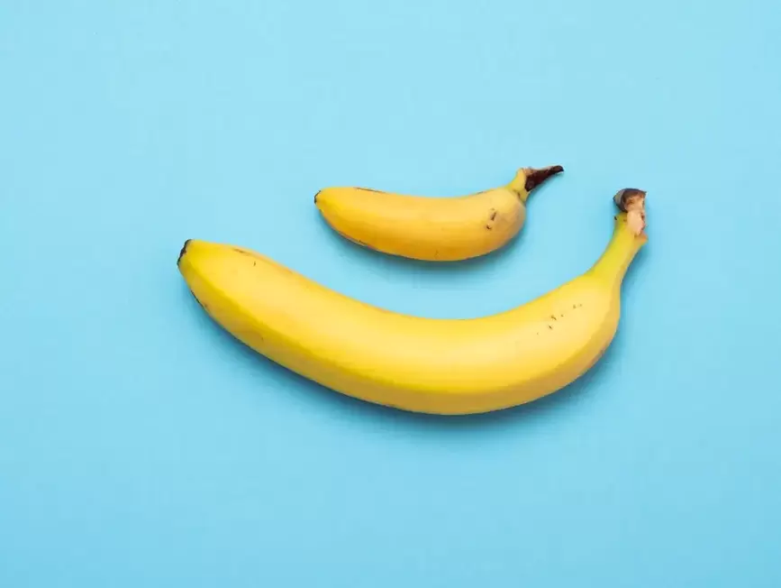 small and enlarged penis with pomp in the example of bananas
